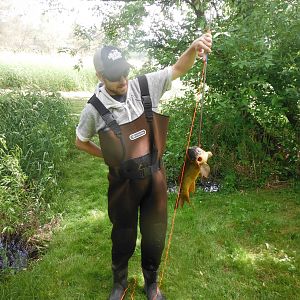 Bow Fishing Carp