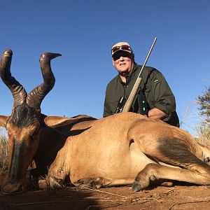 Hunt Red Hartebeest South Africa