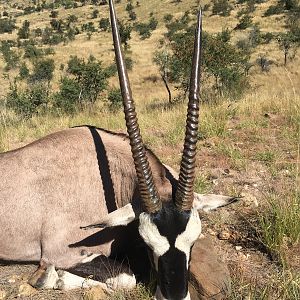 Gemsbok Hunt Namibia