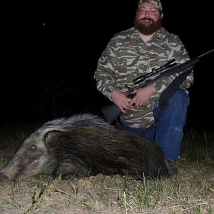 Bushpig Hunting South Africa