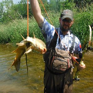 Carp Bow Fishing