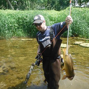 Carp Bow Fishing