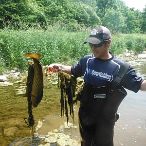 Carp Bow Fishing