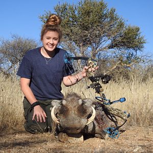 Bow Hunt Warthog South Africa
