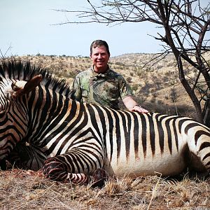 Hunt Hartmann's Mountain Zebra in Namibia