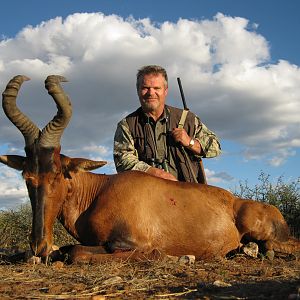 Red Hartebeest Hunting Namibia