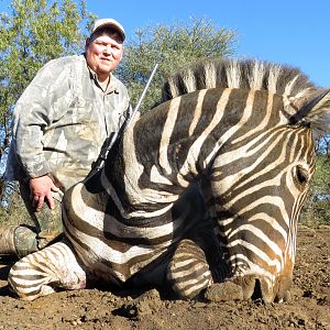 South Africa Hunt Hartmann's Mountain Zebra