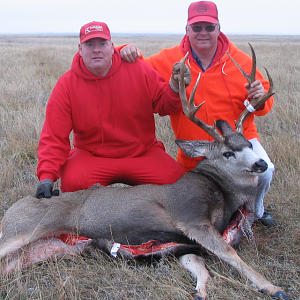 Mule Deer Hunting