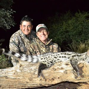 South Africa Hunt Spotted Genet Cat