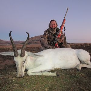 Hunt White Springbok South Africa