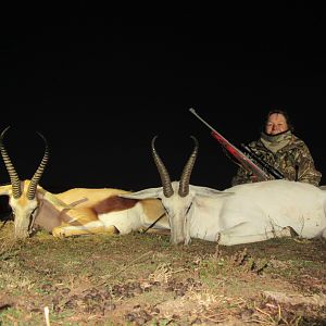South Africa Hunting Common & White Springbok