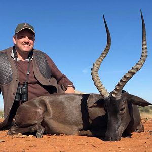 Black Impala Hunt South Africa