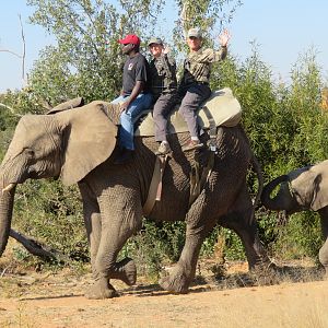 Elephant Park Experience