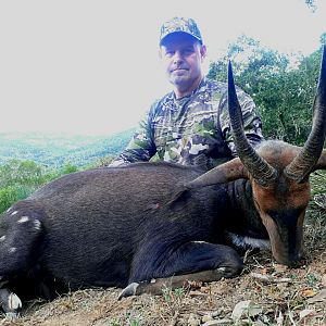 Hunt Bushbuck South Africa