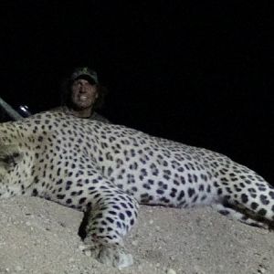 Namibia Hunt Leopard