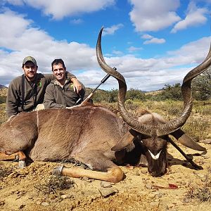 South Africa Hunting Kudu