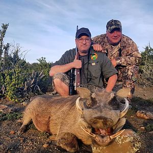 Warthog Hunt in South Africa