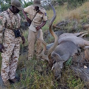 Namibia Hunting Kudu