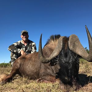 South Africa Hunt Black Wildebeest