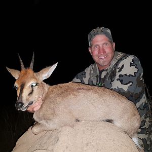 Duiker Hunting South Africa