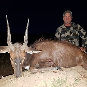 South Africa Hunt Bushbuck