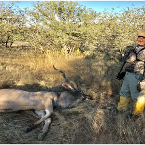 Namibia Hunt Kudu