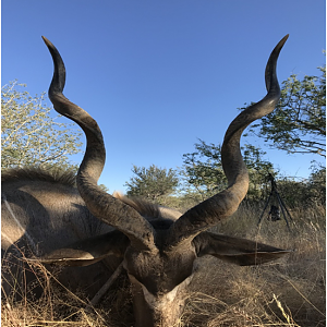 Hunting Kudu Namibia