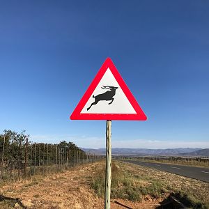 Kudu Warning Sign Board South Africa