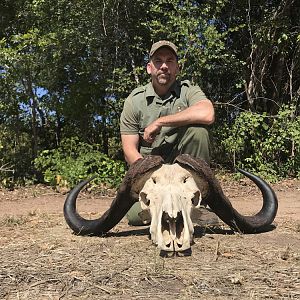 Cape Buffalo Hunt