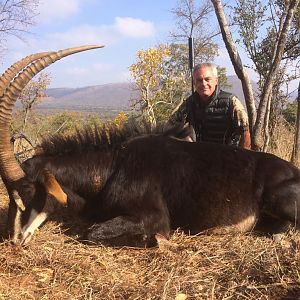 South Africa Hunting Sable