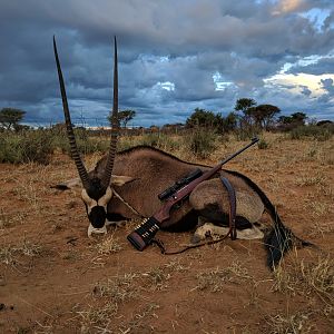 Hunting Gemsbok