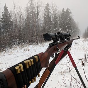 Schmidt Bender Zenith in Hunting Rifle Scopes