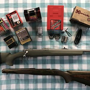 .416 Ruger Guide Gun