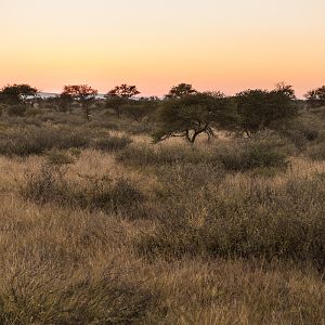 Sunset South Africa