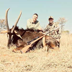 South Africa Hunting Sable Antelope