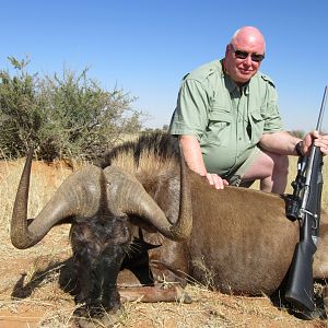 Black Wildebeest Hunting Namibia