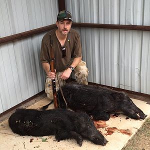 Hog Hunt