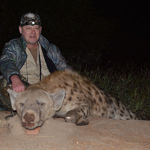 South Africa Hunting Spotted Hyena