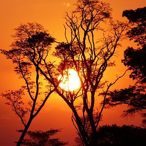 Sunset in Zimbabwe