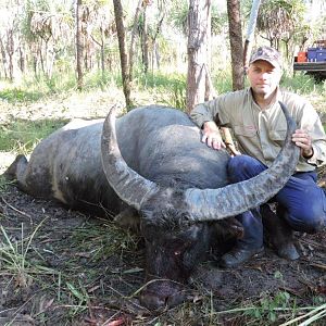 Hunting 108" Inch Asiatic Water Buffalo in Australia