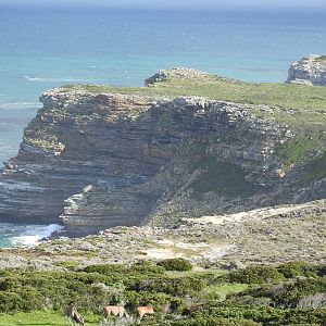 Cape of Good Hope South Africa