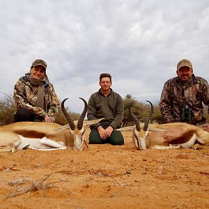 Kalahari South Africa Hunting Springbok