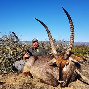 Waterbuck Hunting in South Africa