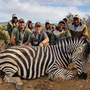 South Africa Hunting Burchell's Plain Zebra