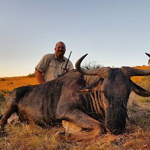 Blue Wildebeest Hunt in South Africa