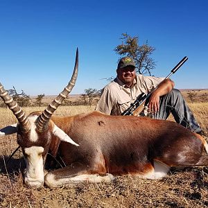 Hunting Blesbok South Africa