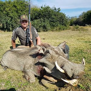 Warthog Hunting  in South Africa