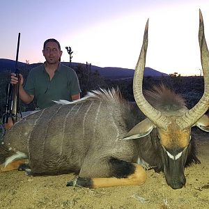 Nyala Hunting in South Africa