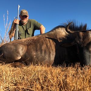 South Africa Hunt Blue Wildebeest