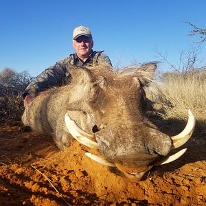 Warthog Hunt in South Africa